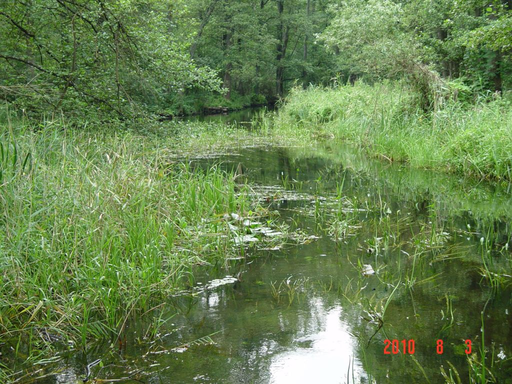 8 orzysza (3)